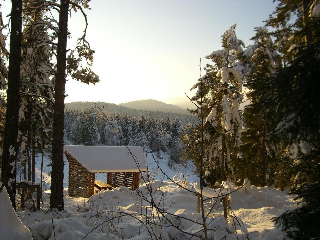 Pension Casa Selva Trin Exteriör bild