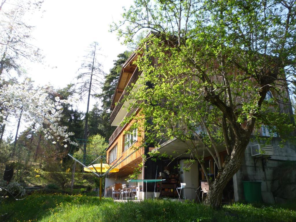 Pension Casa Selva Trin Exteriör bild
